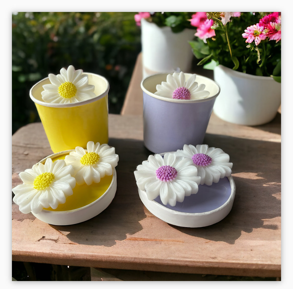 Daisy Wax Melts In Tub