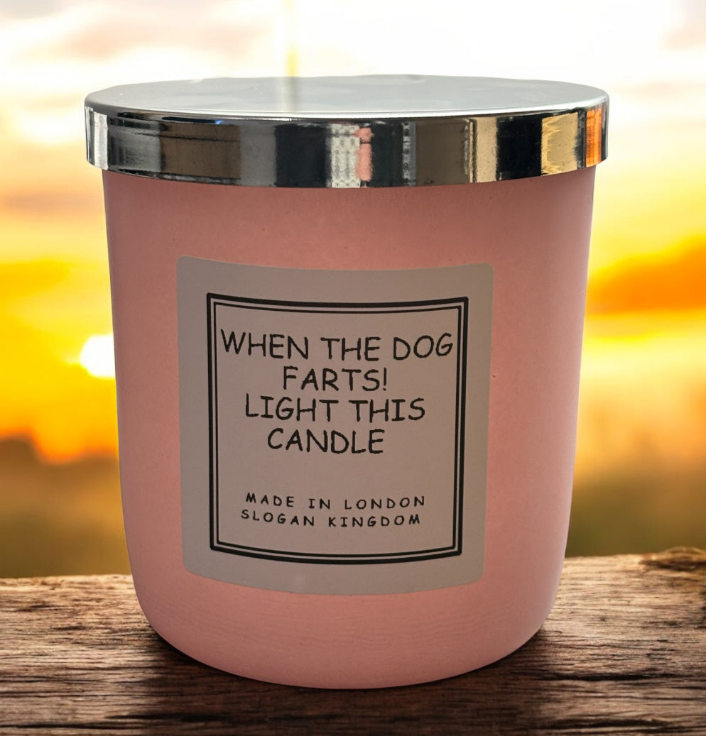 Funny Slogan Candle Dog Fart Great Gift For Fun Factor